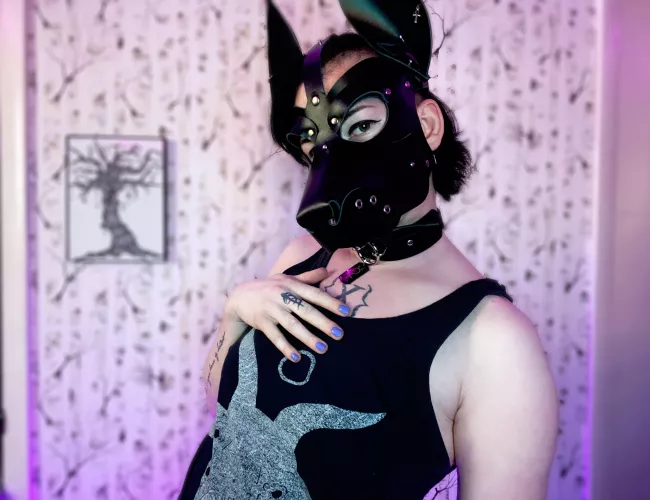 Happy Monday pups 💜 by TheMothdog