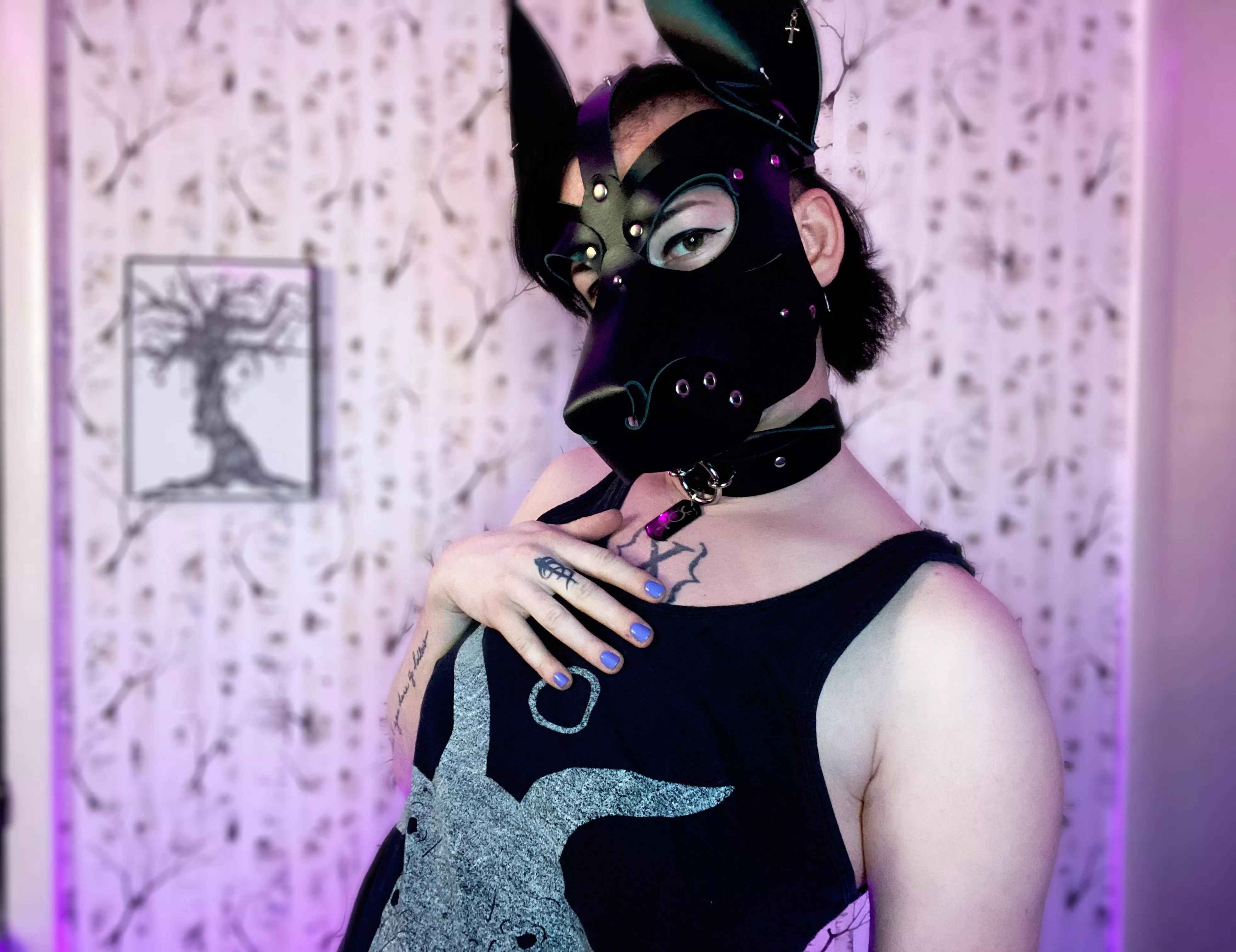 Happy Monday pups 💜 posted by TheMothdog