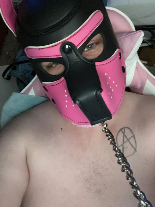 I wanna be a good pup by sissyskiddy