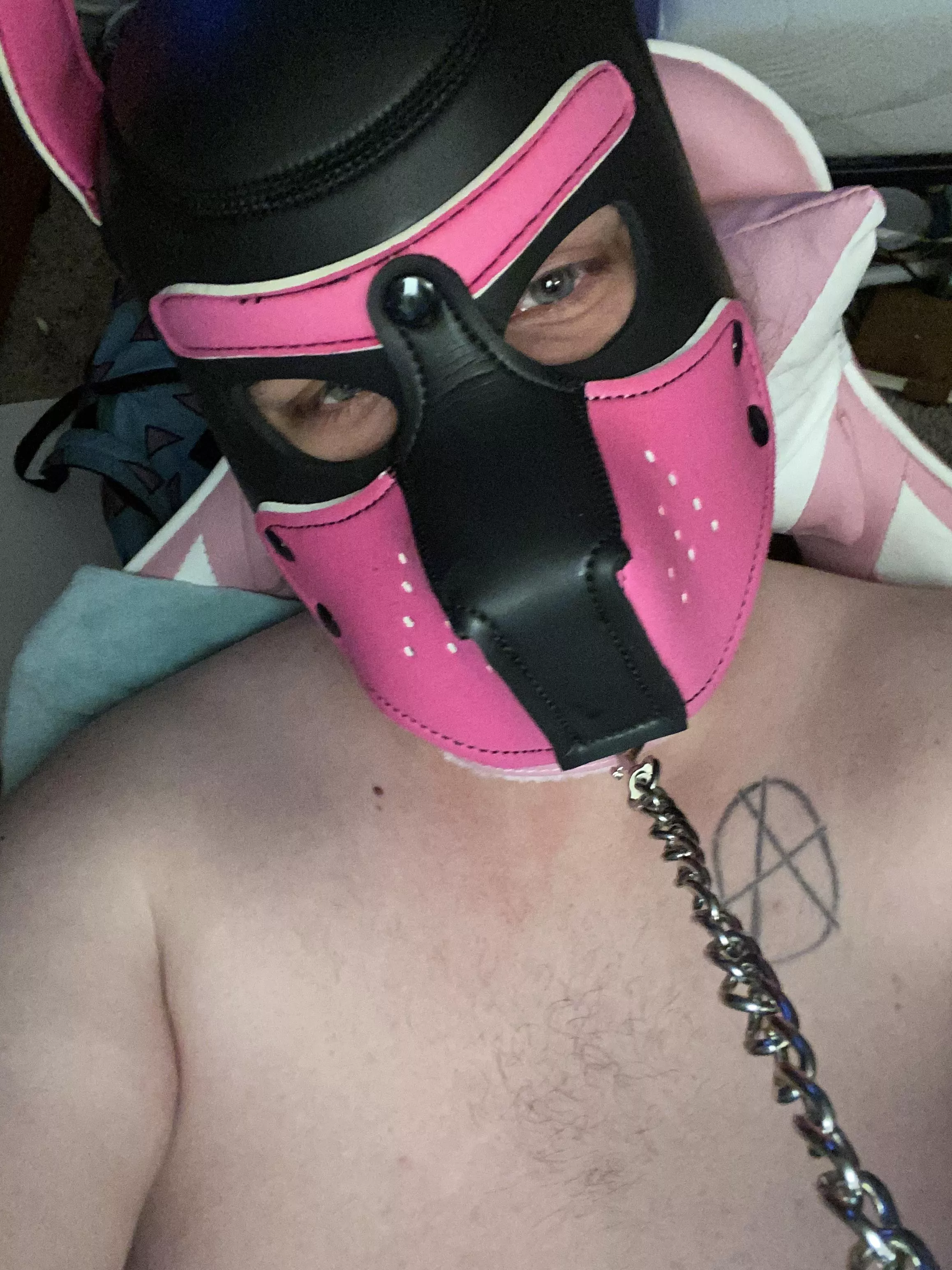 I wanna be a good pup posted by sissyskiddy