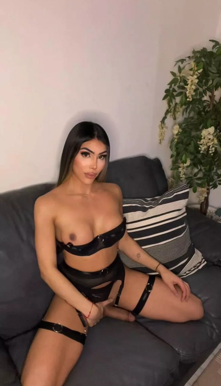 If you could only touch me in one place, where would it be? posted by JonyBrook