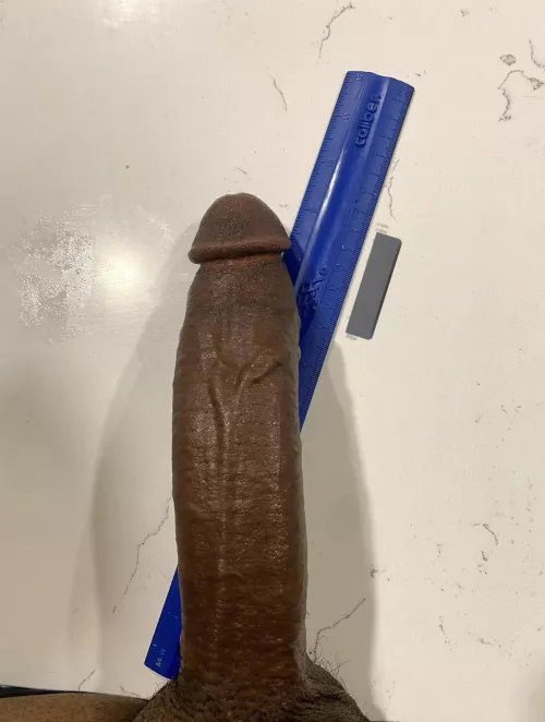 in the ruler by Square-Permission-59