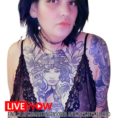 Live now come say hi by meowmeowmegaroo