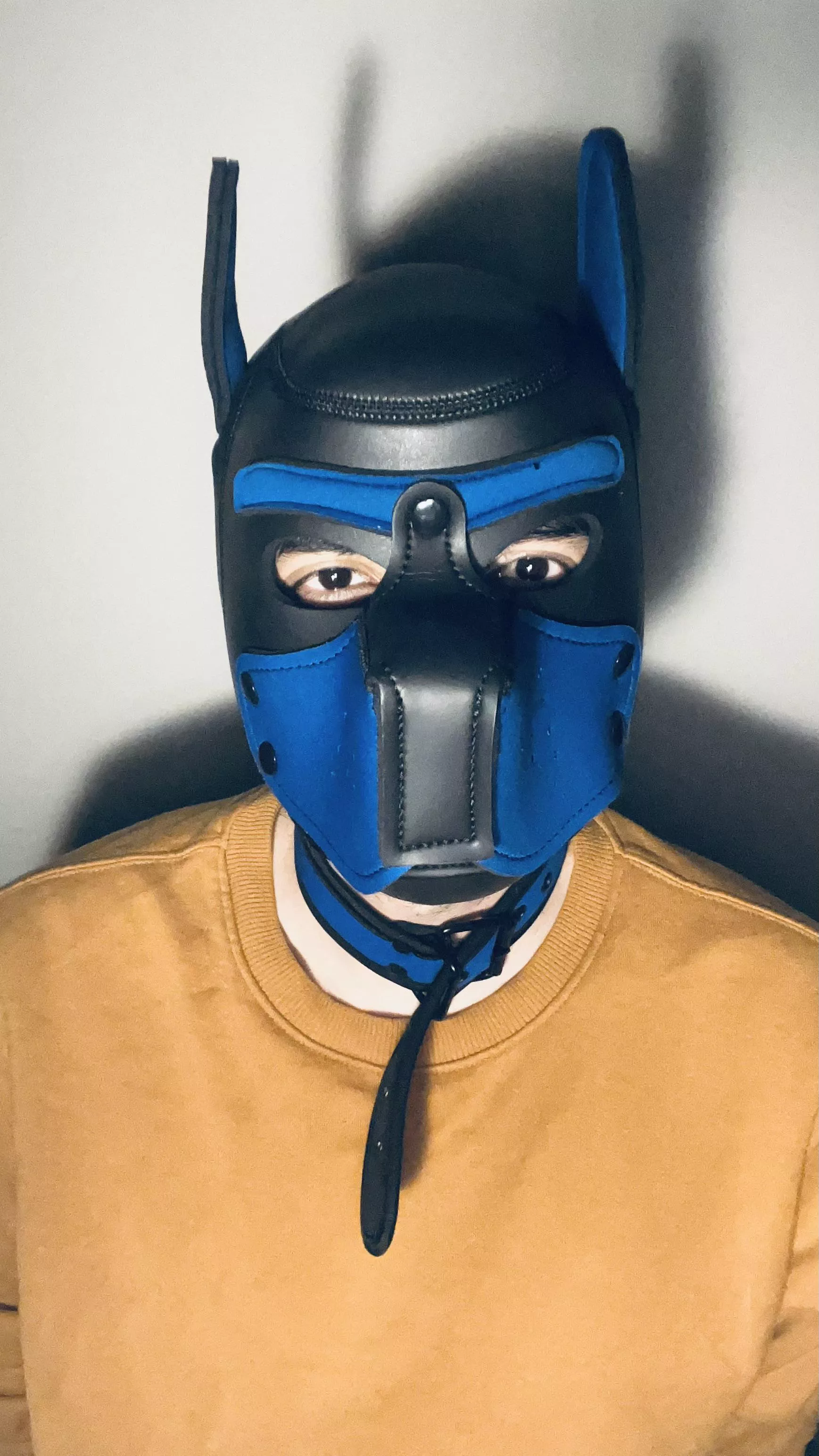 my 1st time wearing one 😅 , how does it look ?  posted by VerZoro