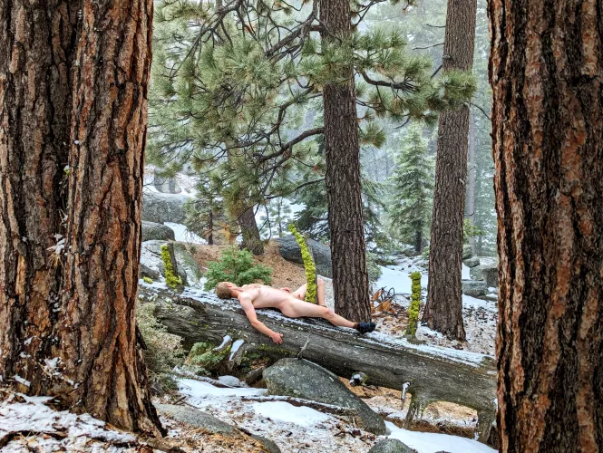 My first ever🌲 Tree Pose Tuesday 🌲 by jmnoodles