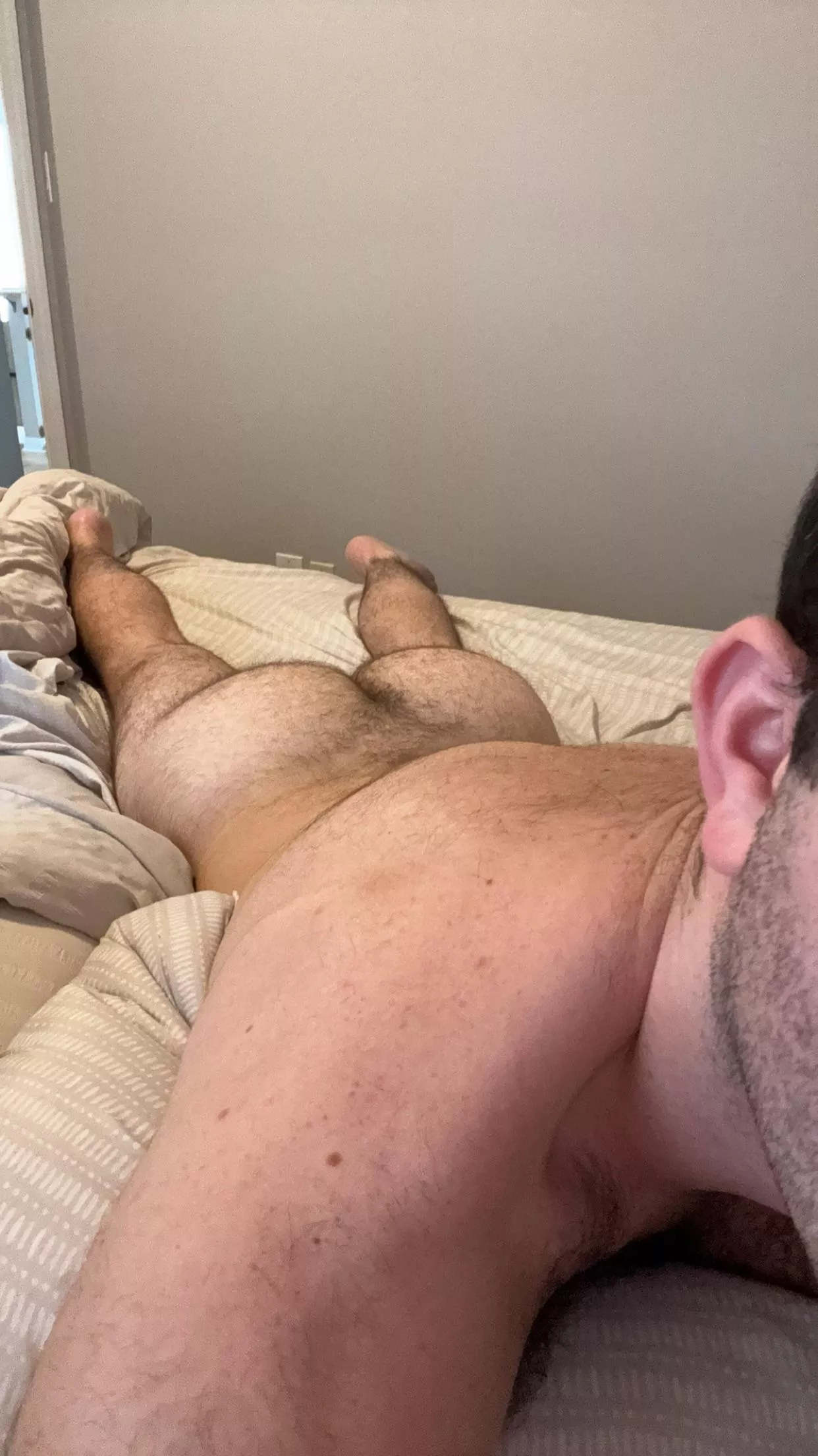 need my hairy ass fuckedddd drobertson2610 posted by dave_r125