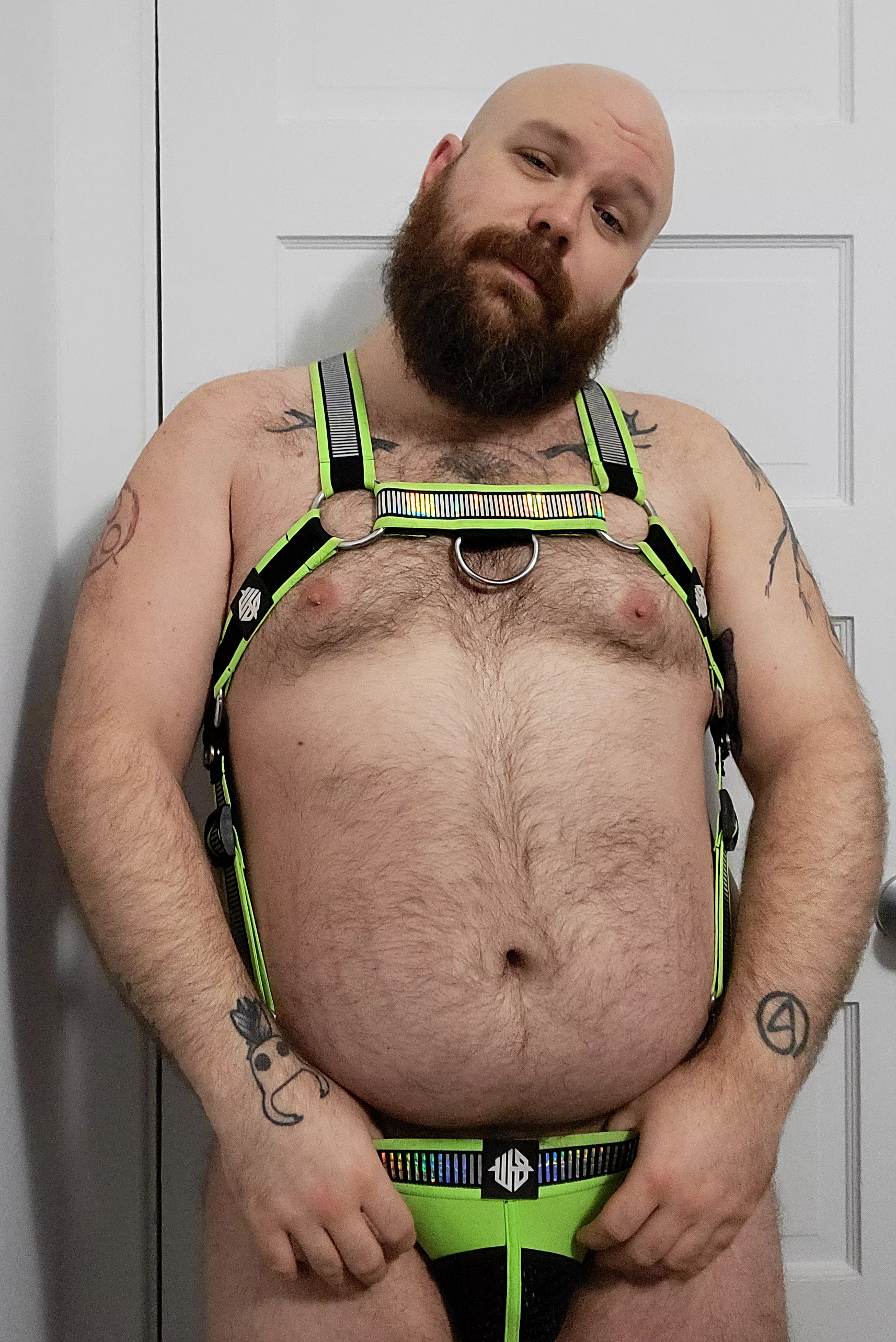 Rocking the New(ish) Harness posted by nooneknowsbutmezz