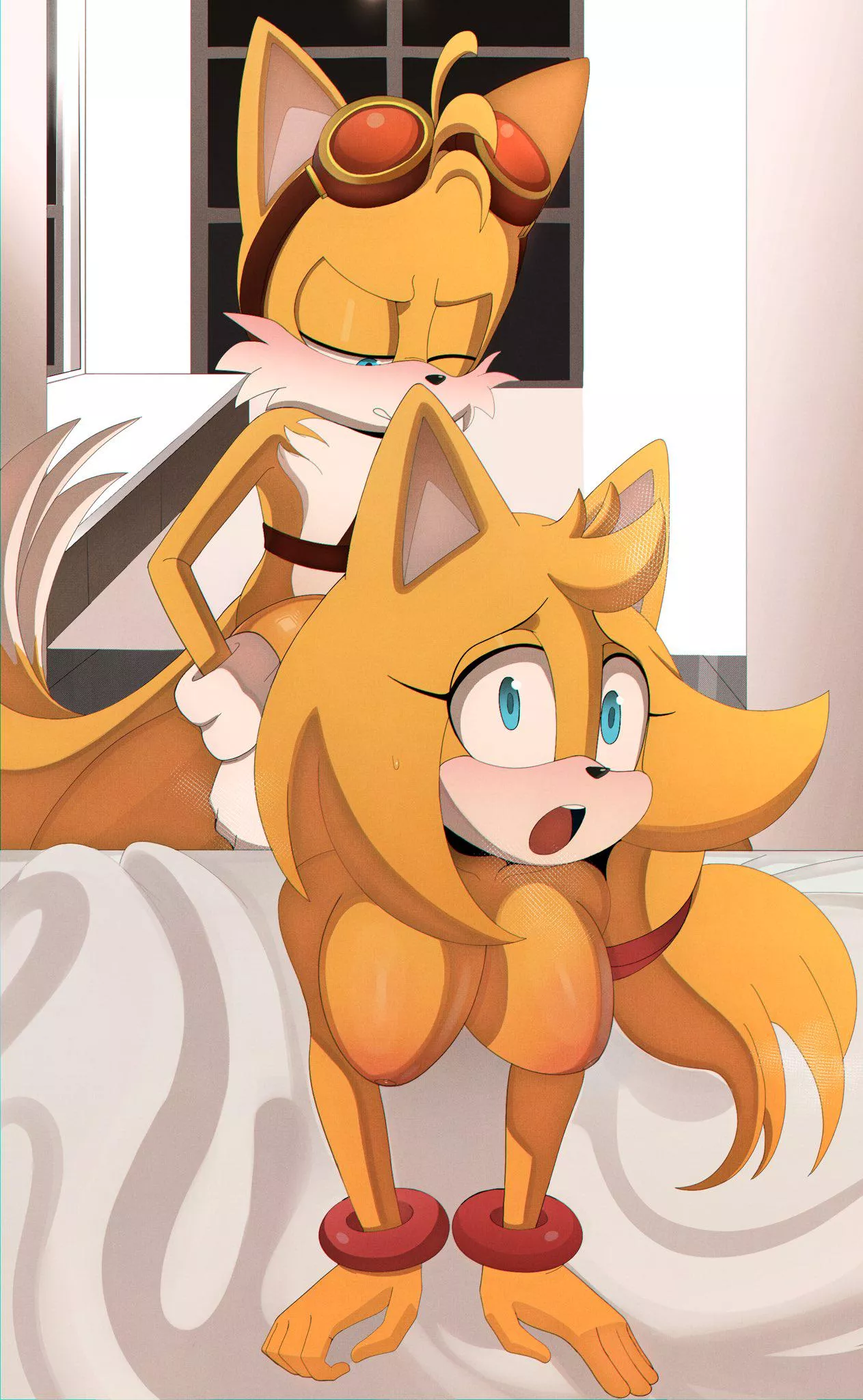 Tails and Zooey (HereApathy) posted by footlettuceburger360