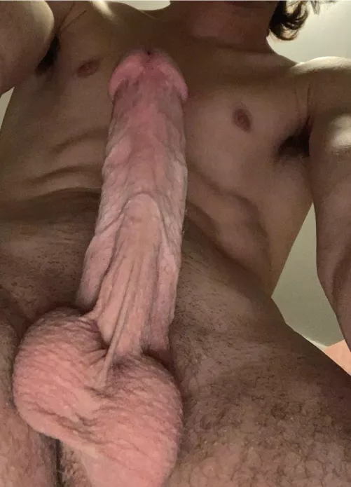 Thoughts? by 15th_Avebros