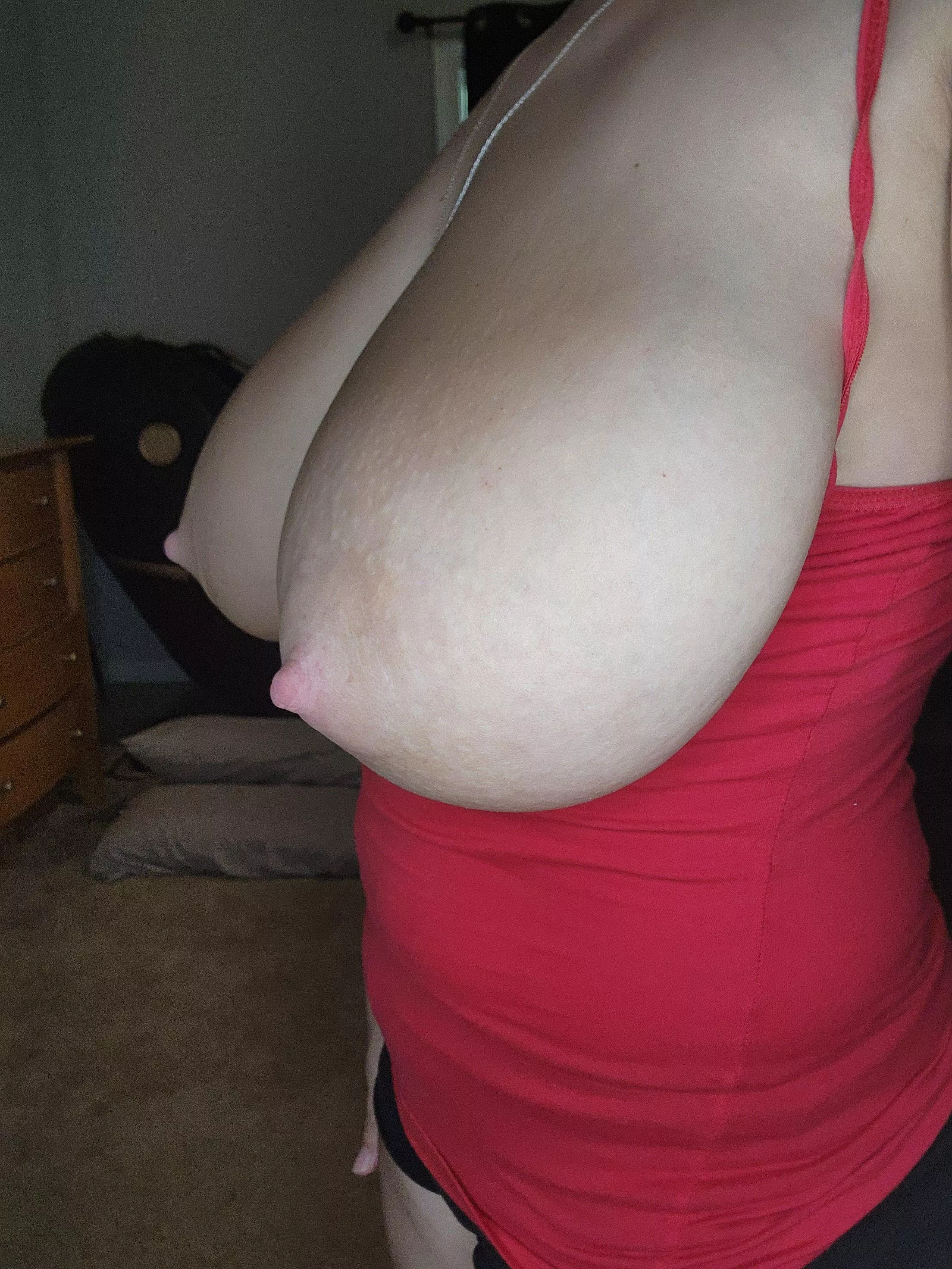 Too big or just right.... posted by callme_k_mellons