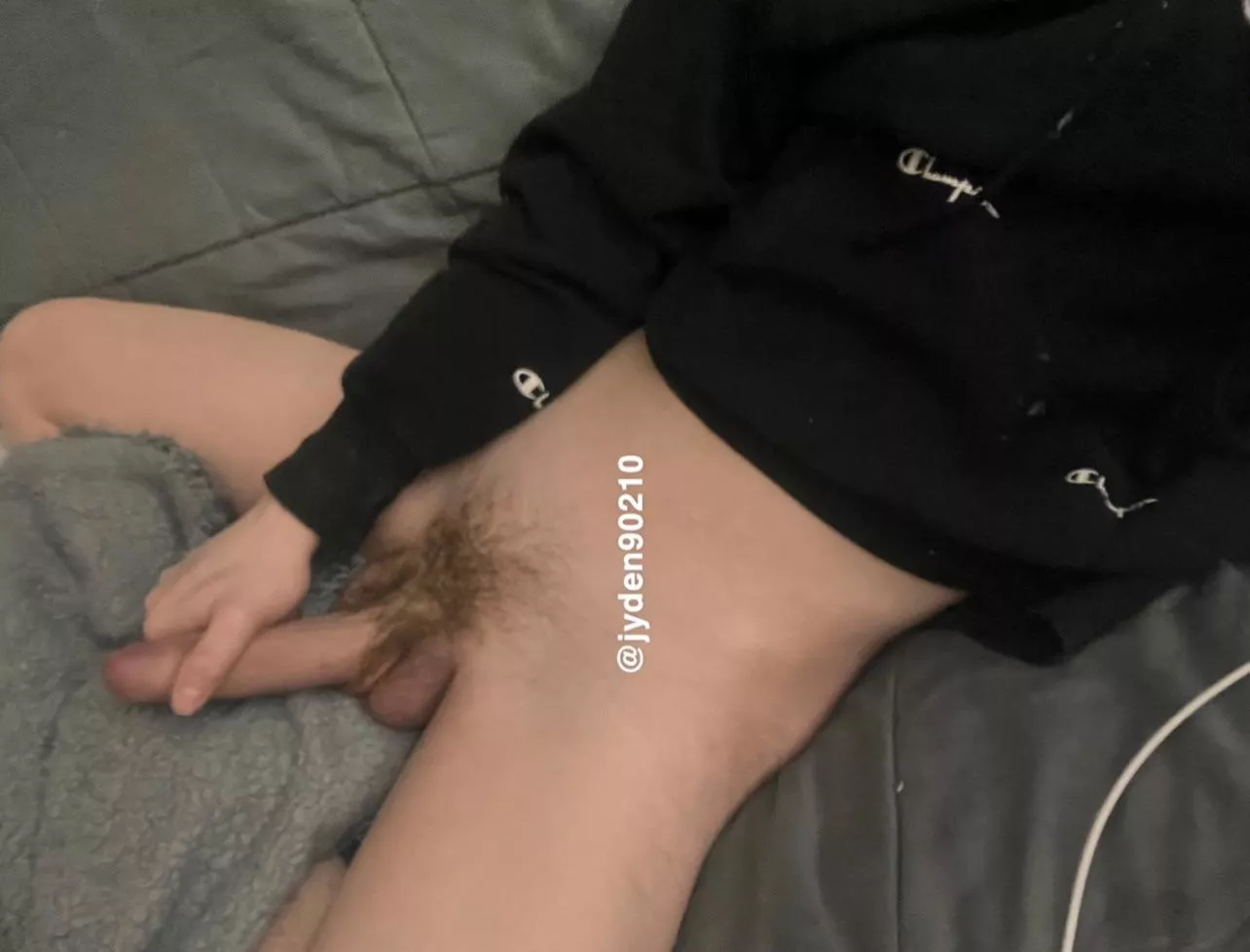 What do you think of it ? posted by Pure_Hedgehog7670