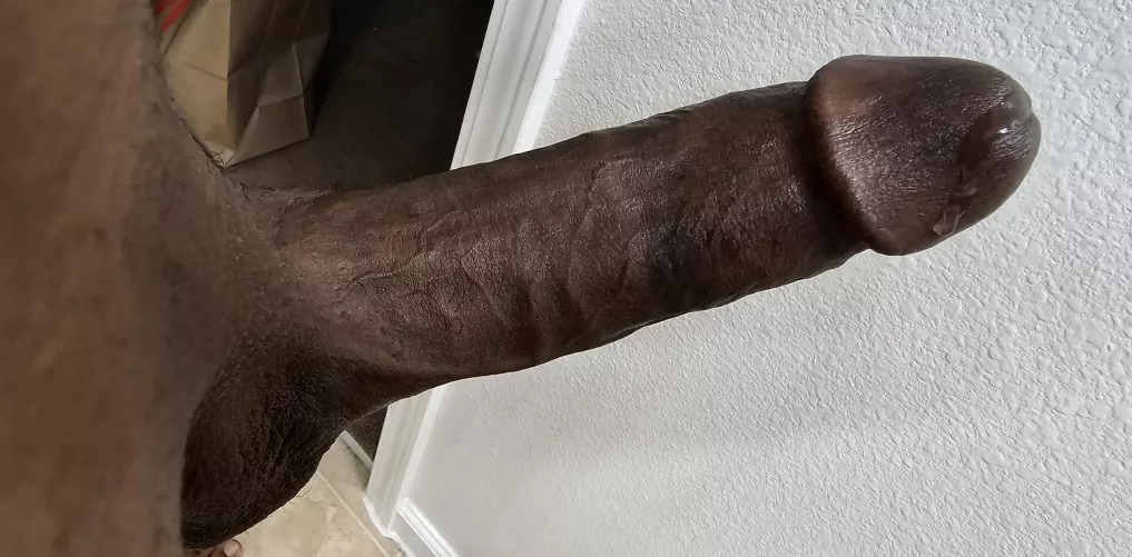 What ya think of my cut black cock by Global-Feed6916