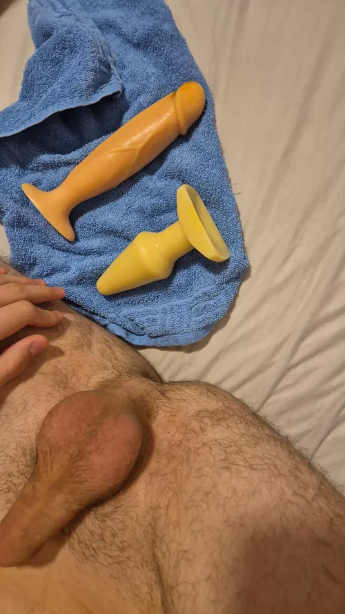 Which one should I war all Day? #ass #asshole #naked #nude #sexy #nsfw by fagexhib