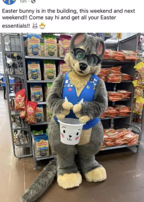 Why is this Walmart being hated on? Ik it’s not a bunny fursuit but I saw a bunch of people hating on them in general :( by Wi110w_pAwz