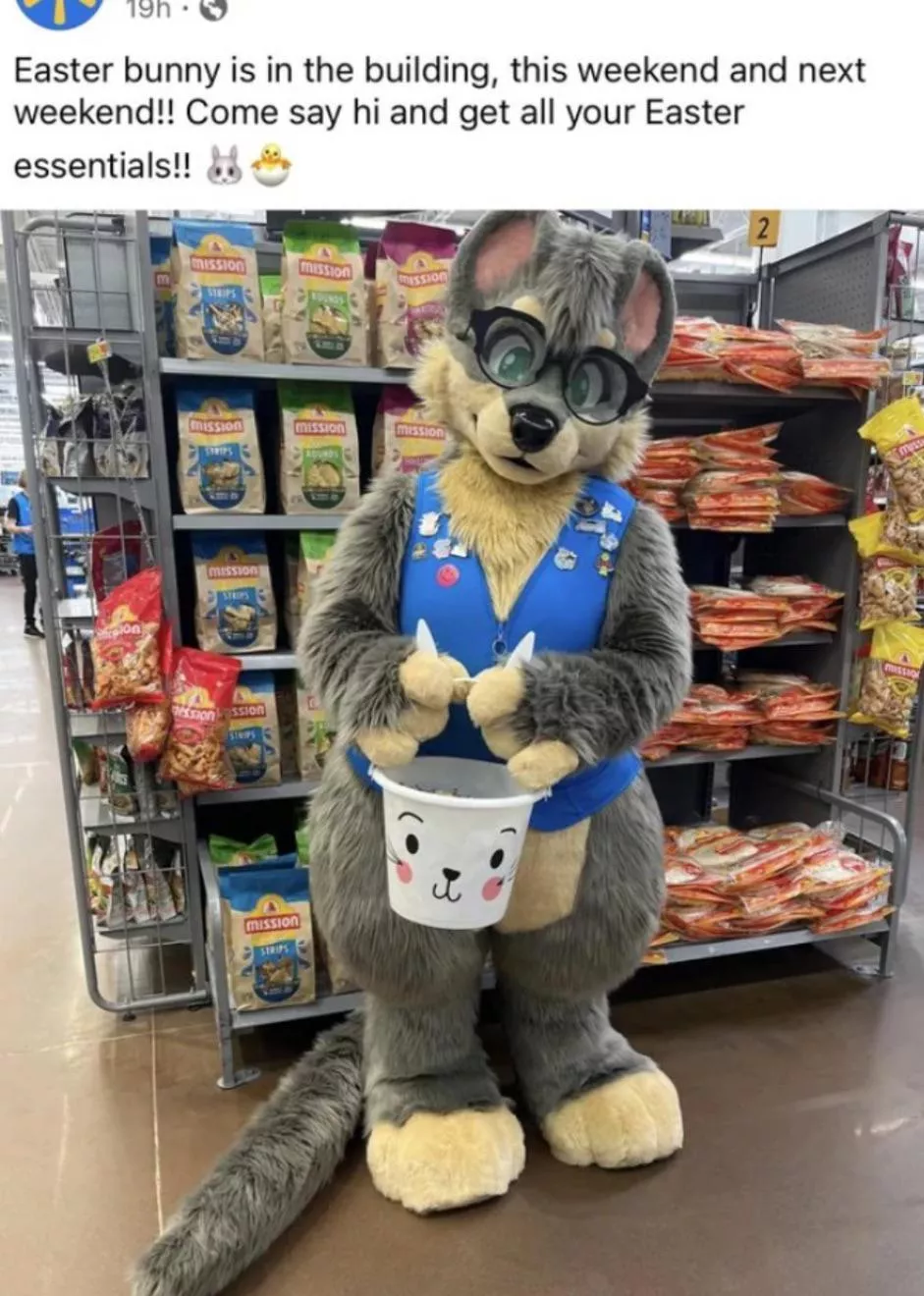 Why is this Walmart being hated on? Ik it’s not a bunny fursuit but I saw a bunch of people hating on them in general :( posted by Wi110w_pAwz