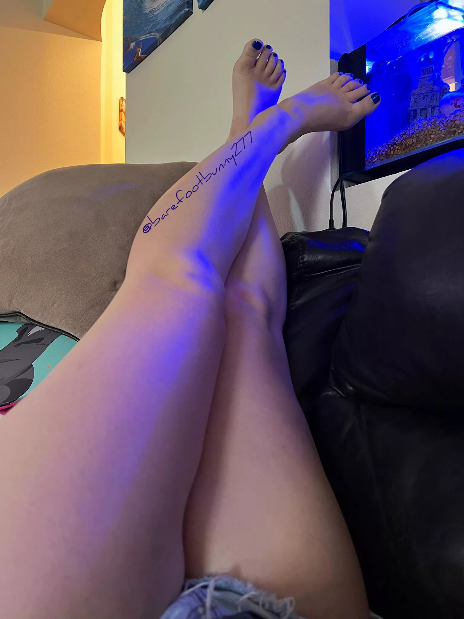 Any volunteers to be my footrest posted by Barefootbunny277