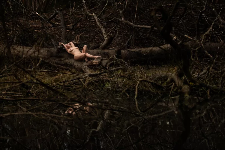 Beauty amongst the decay by HelenSaunders