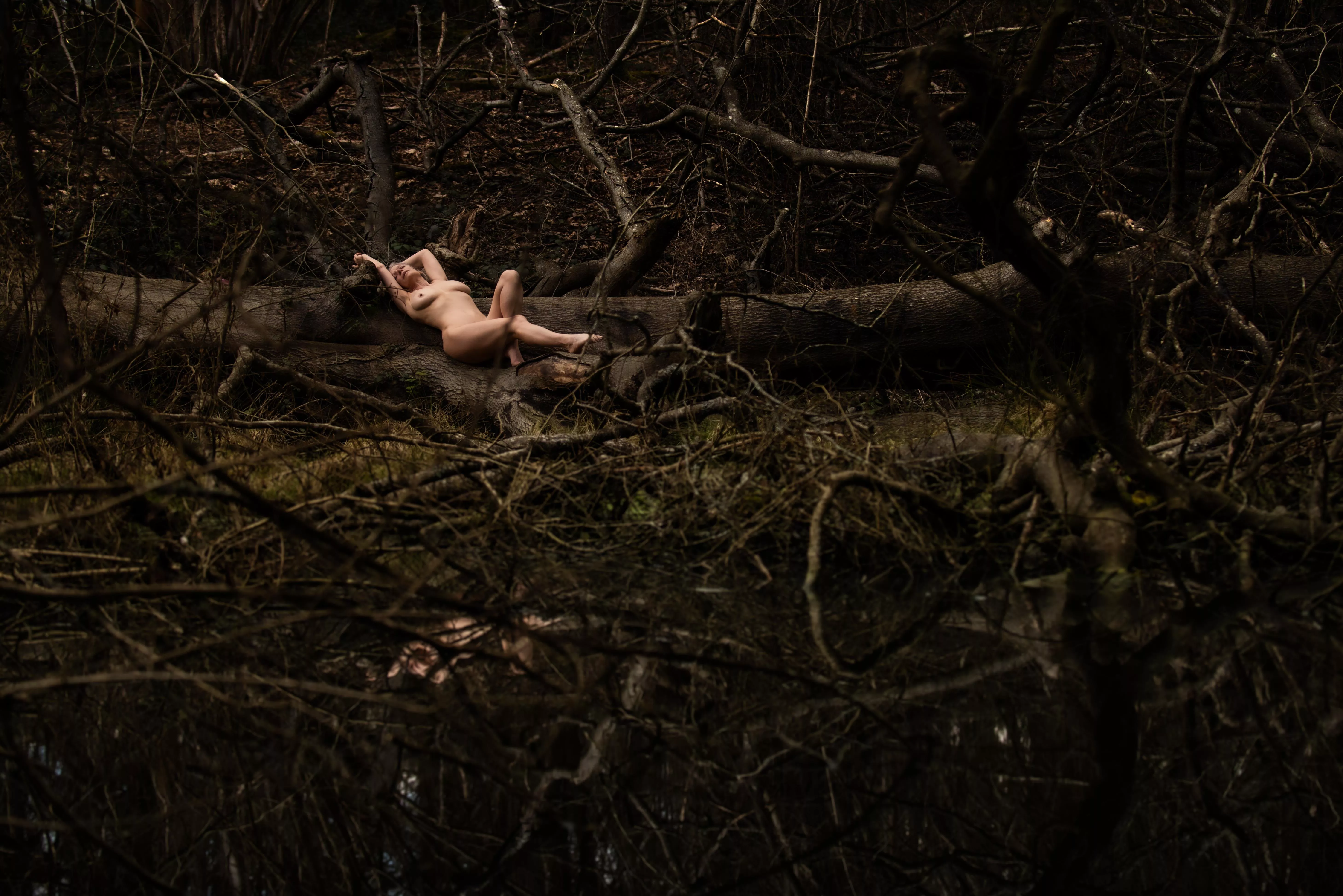 Beauty amongst the decay posted by HelenSaunders