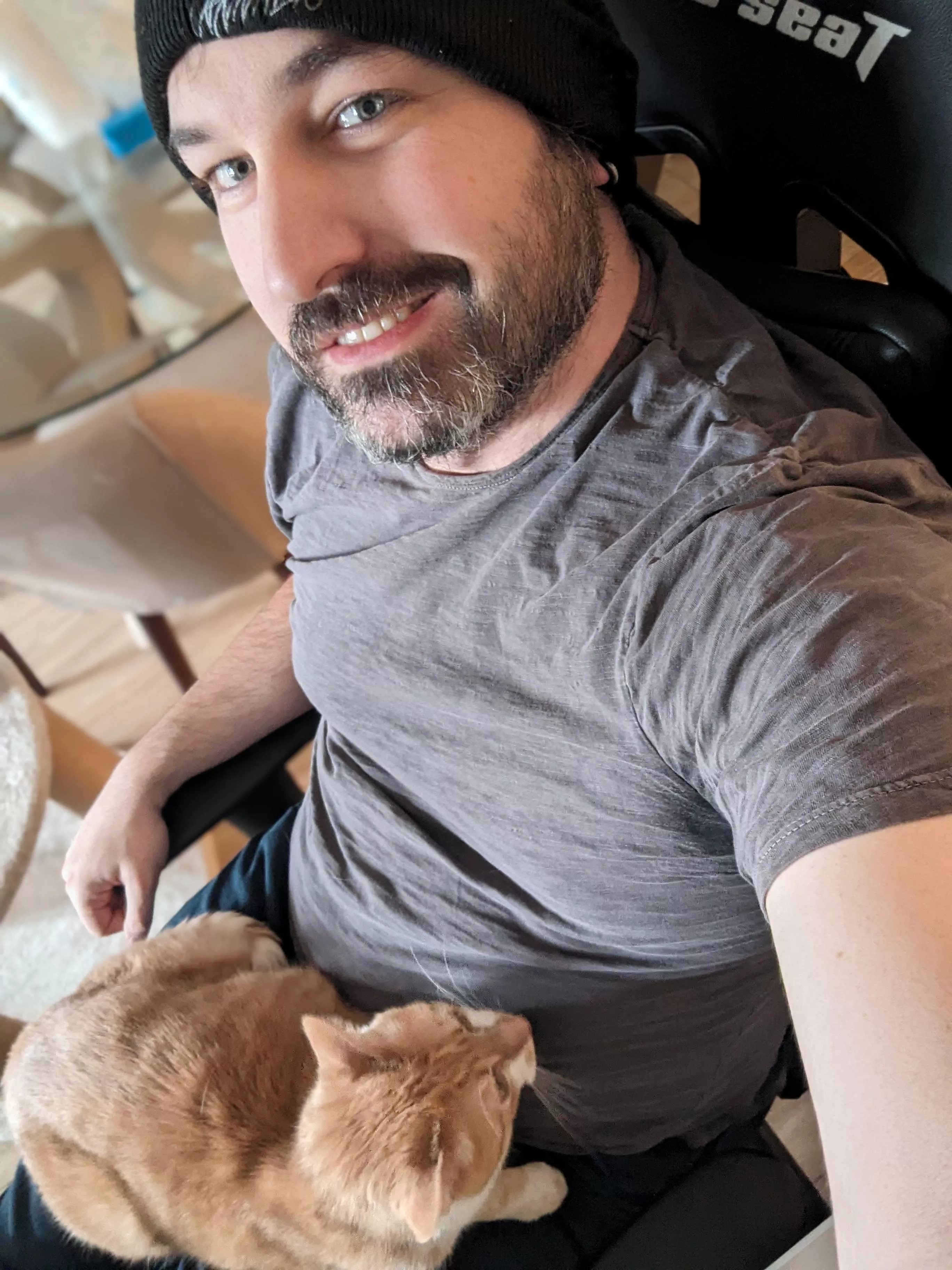 Benefit of working from home, I'm never without a cuddle buddy!  posted by spruceflapjack