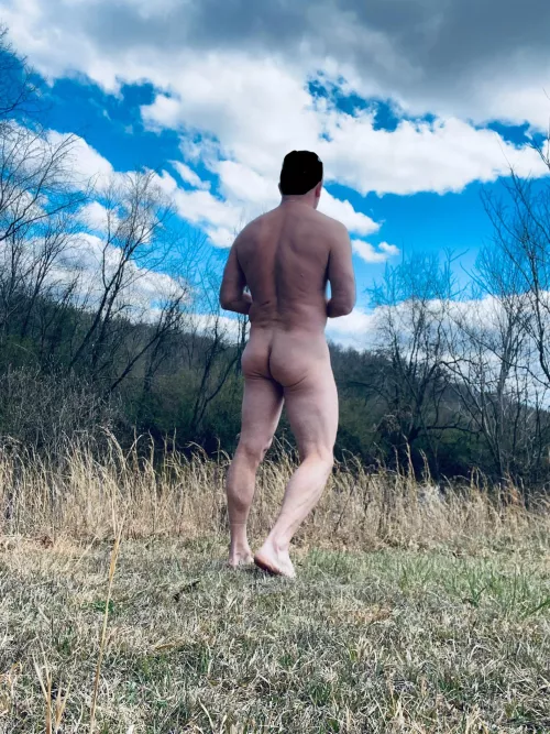 Blue sky and sunny day by Traditional_Pea2239