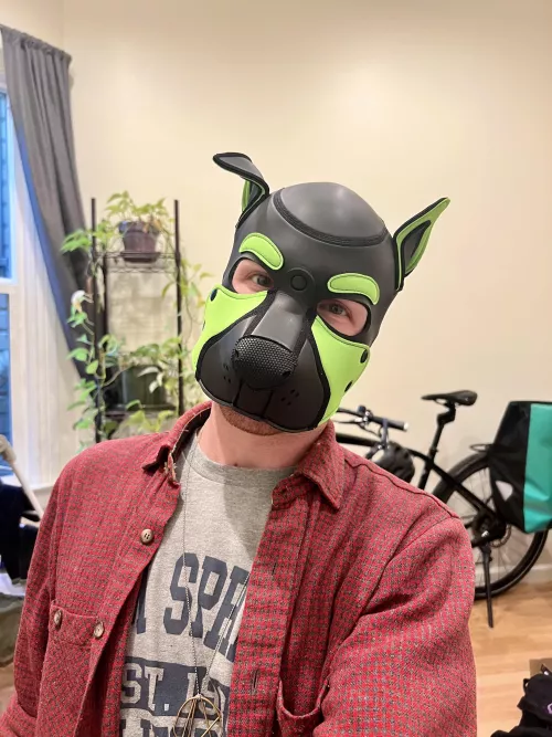 Bought my first hood by is-this-indigestion