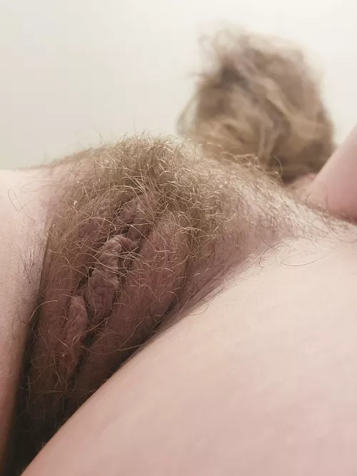 Brush your kitty everyday  by xdream_scapex