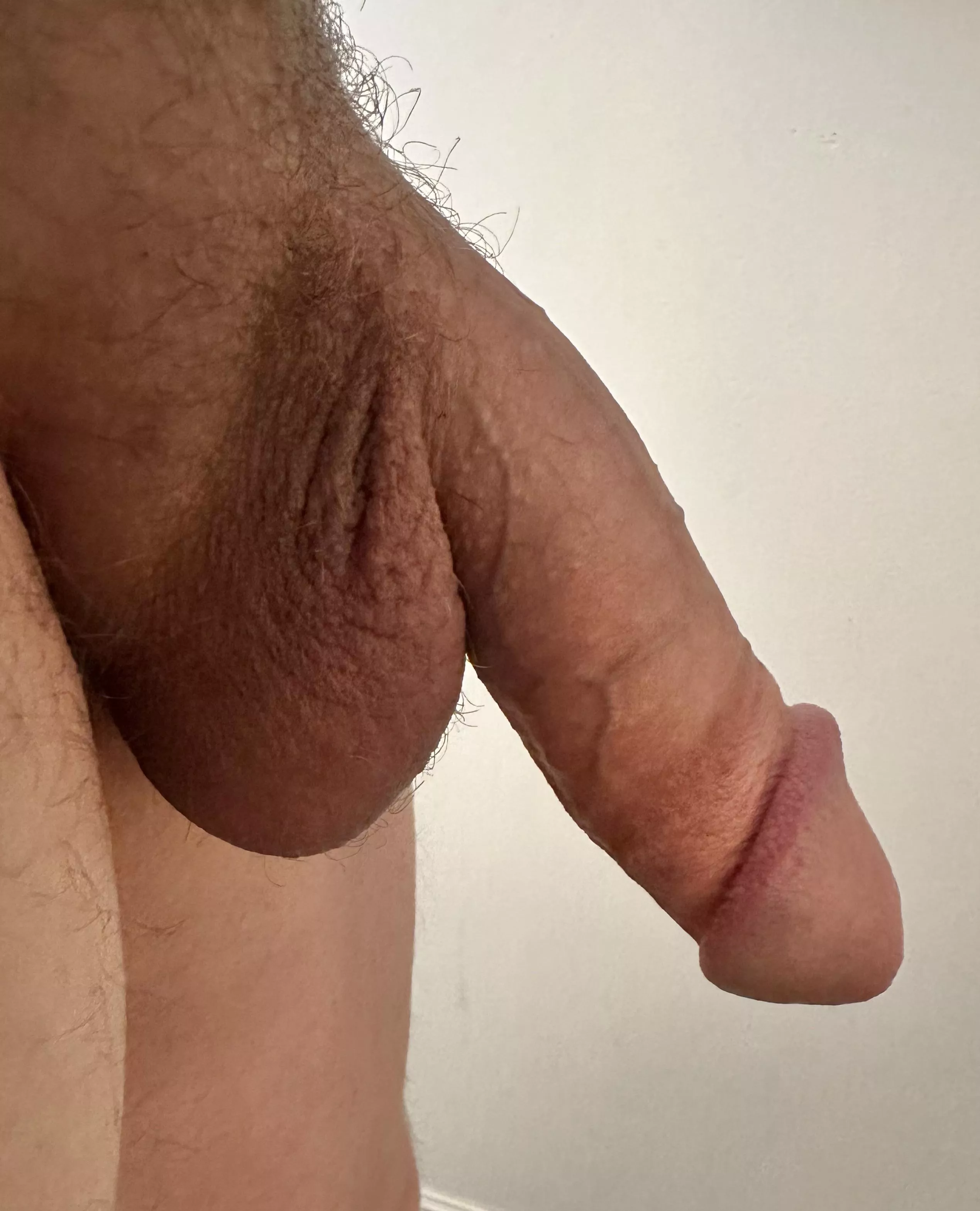 Do I have to wear pants to work? posted by CorduroyPillows