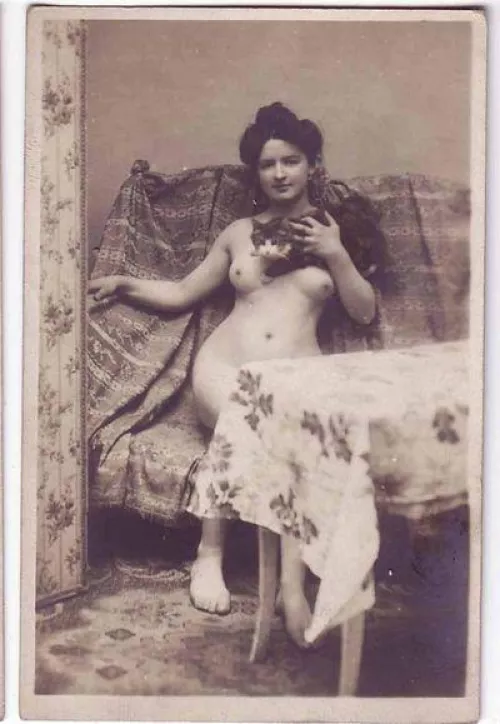 French Postcard by Mundane-Employer-719