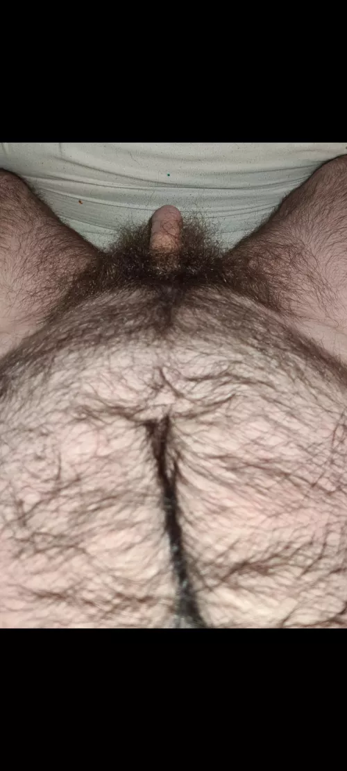 Fur-tastic by delicioussoftmango