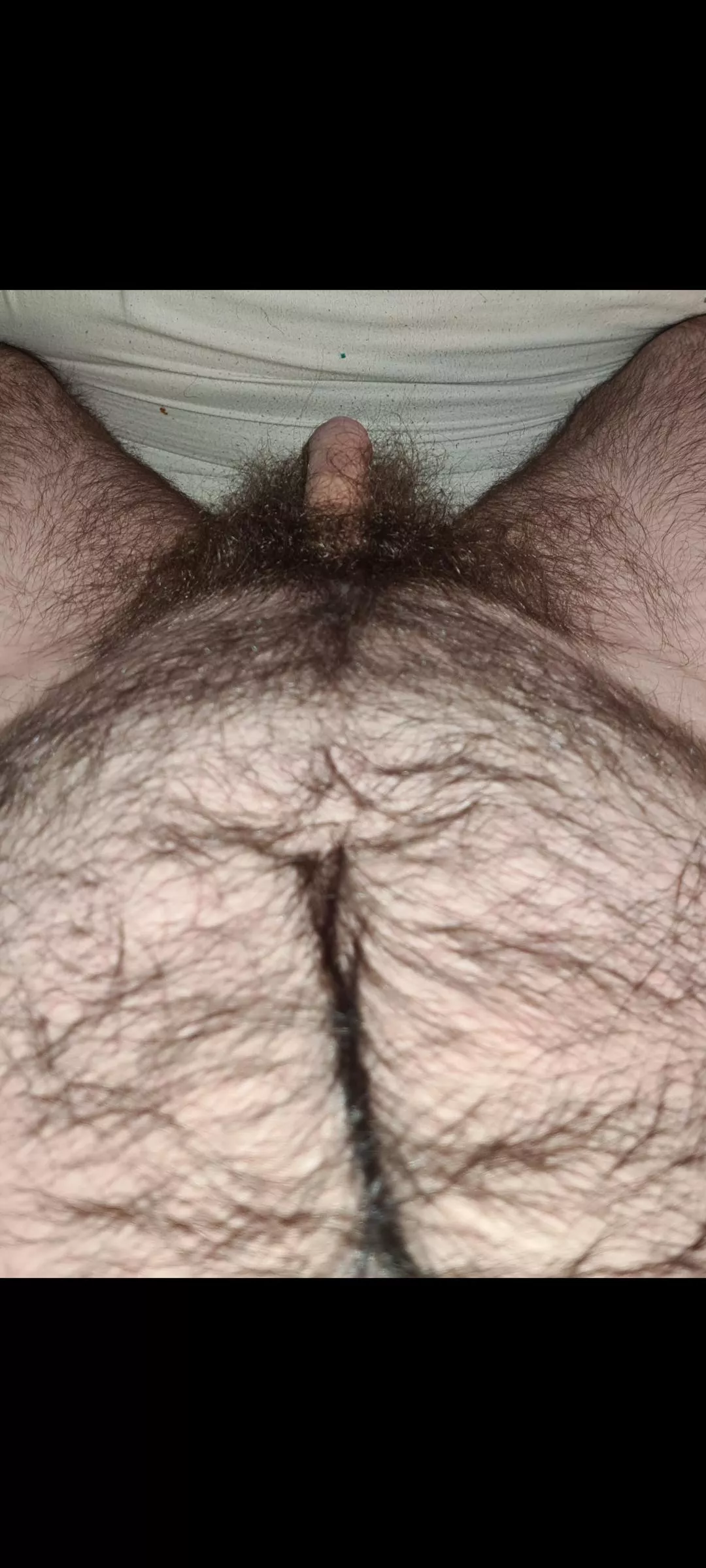 Fur-tastic posted by delicioussoftmango