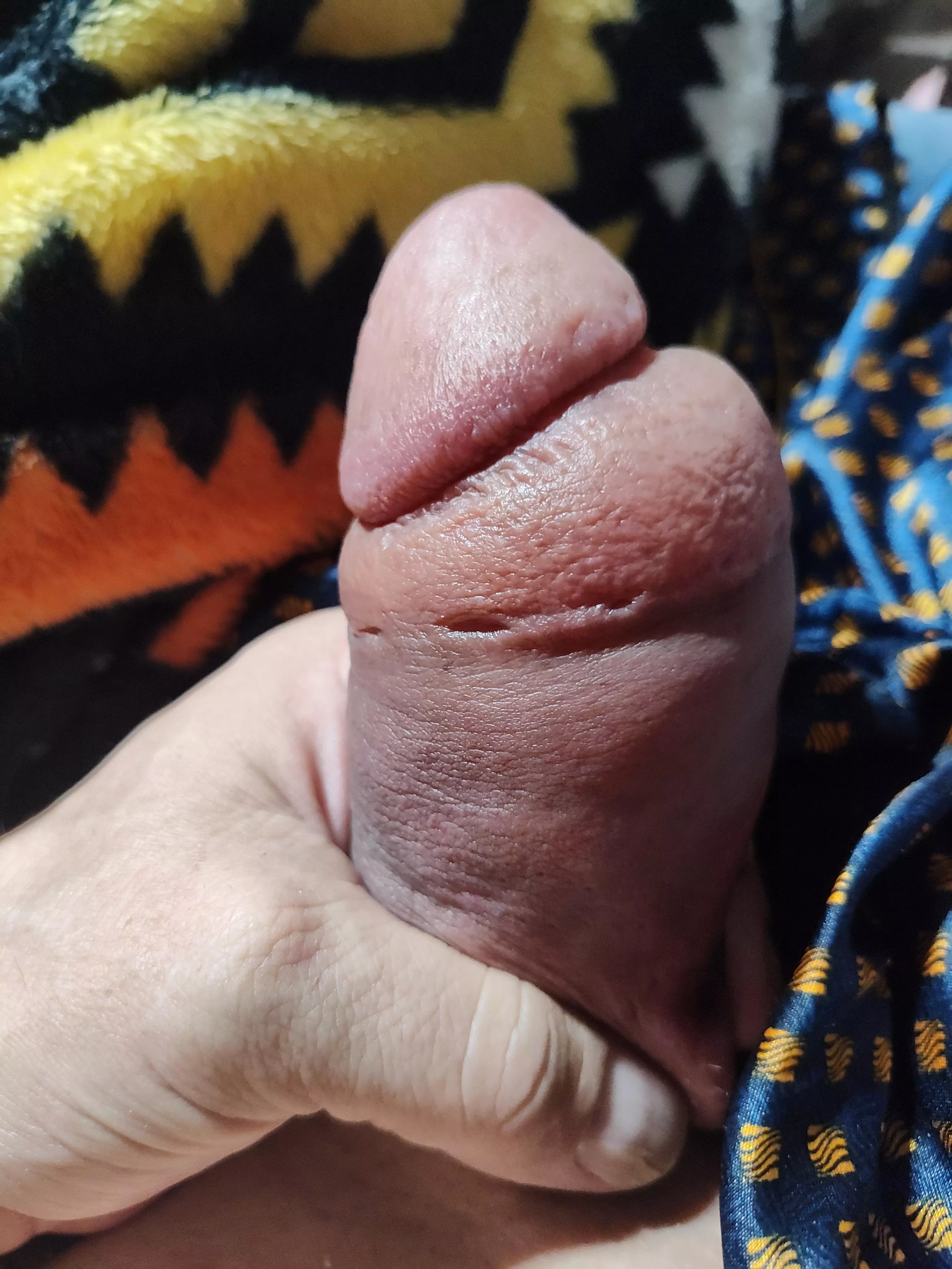 Got a little pump in for the day posted by Jeffcrazy1