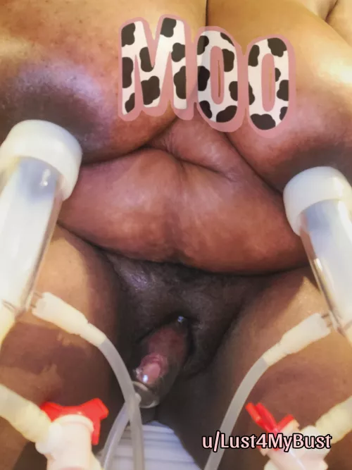 I forgot how good it feels  by Lust4MyBust