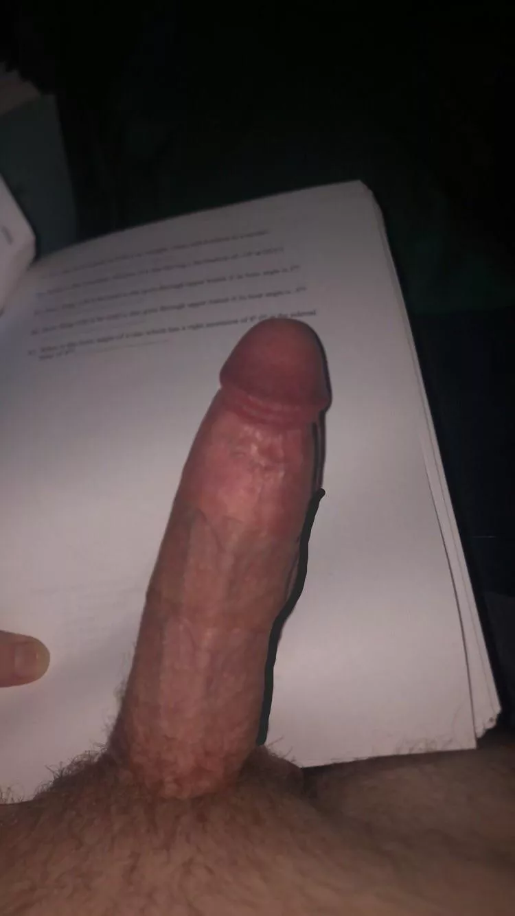 i HATE studying posted by RevolutionaryCow315