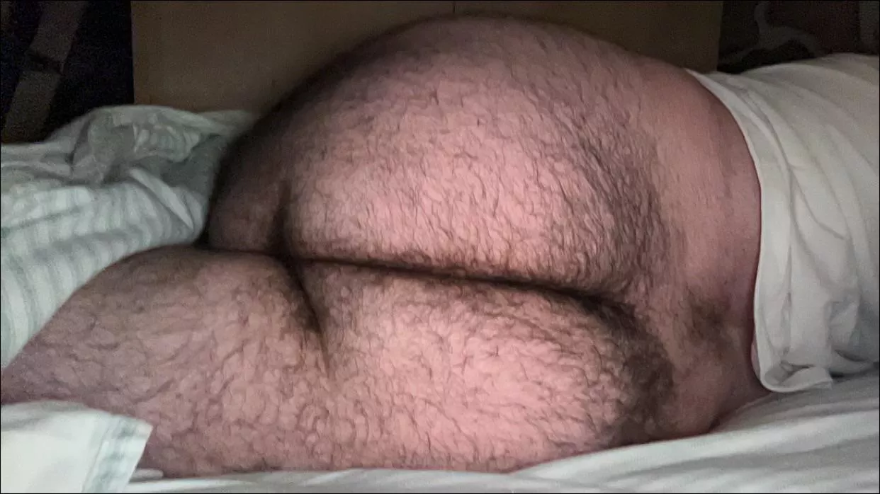 I’m having trouble falling asleep. Do you know a way to make someone tired? (20) posted by No_One_At_All_Ok