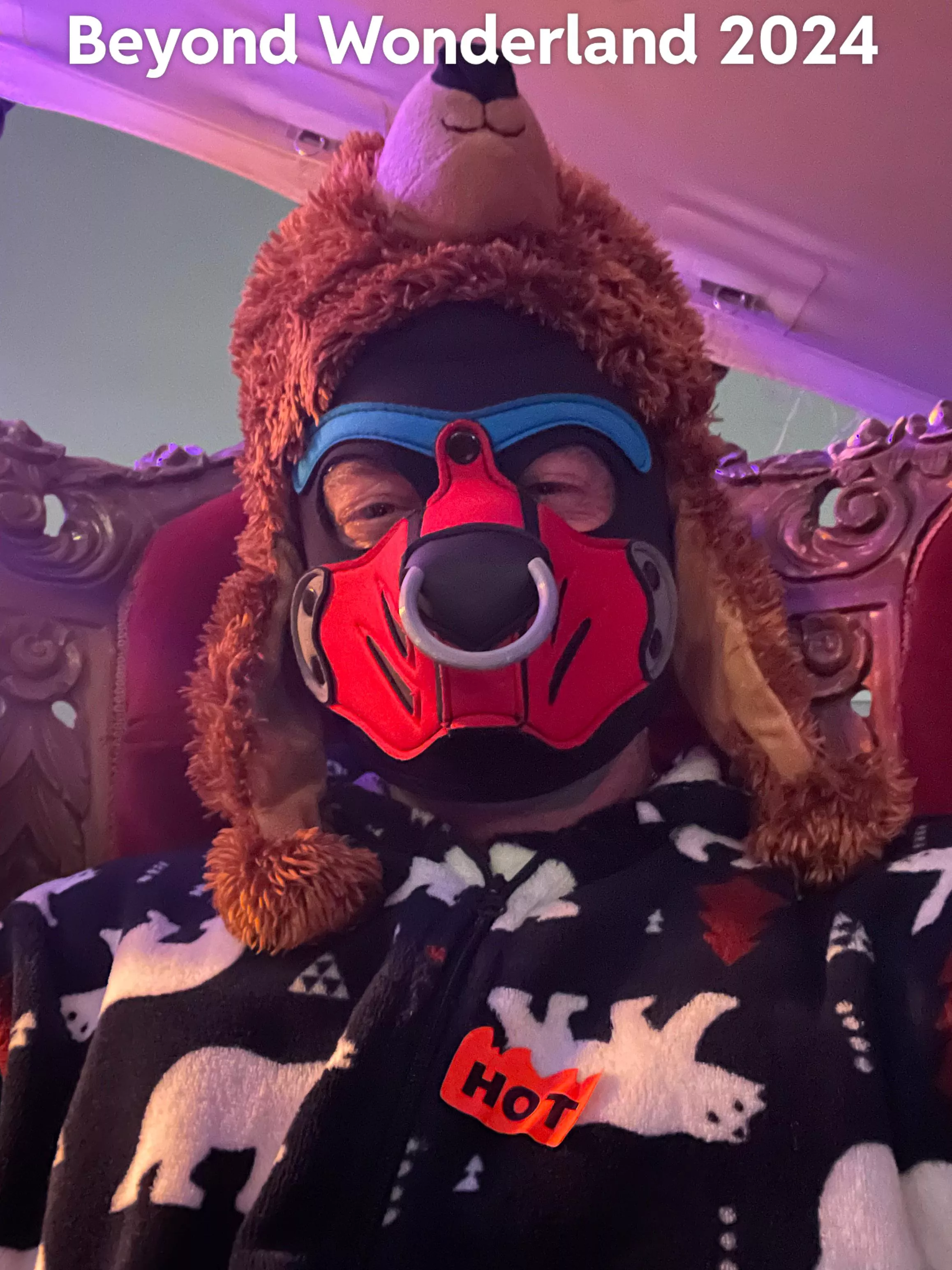 It’s a Puppy disguised as a bear! posted by InitialDinner1739