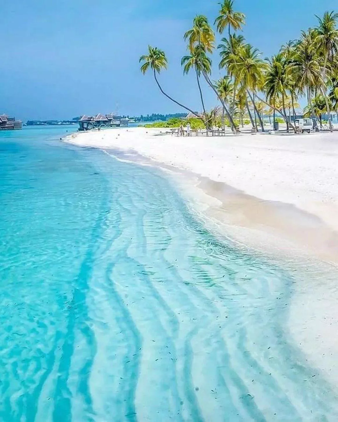 Iwant posted by Aliaa_123