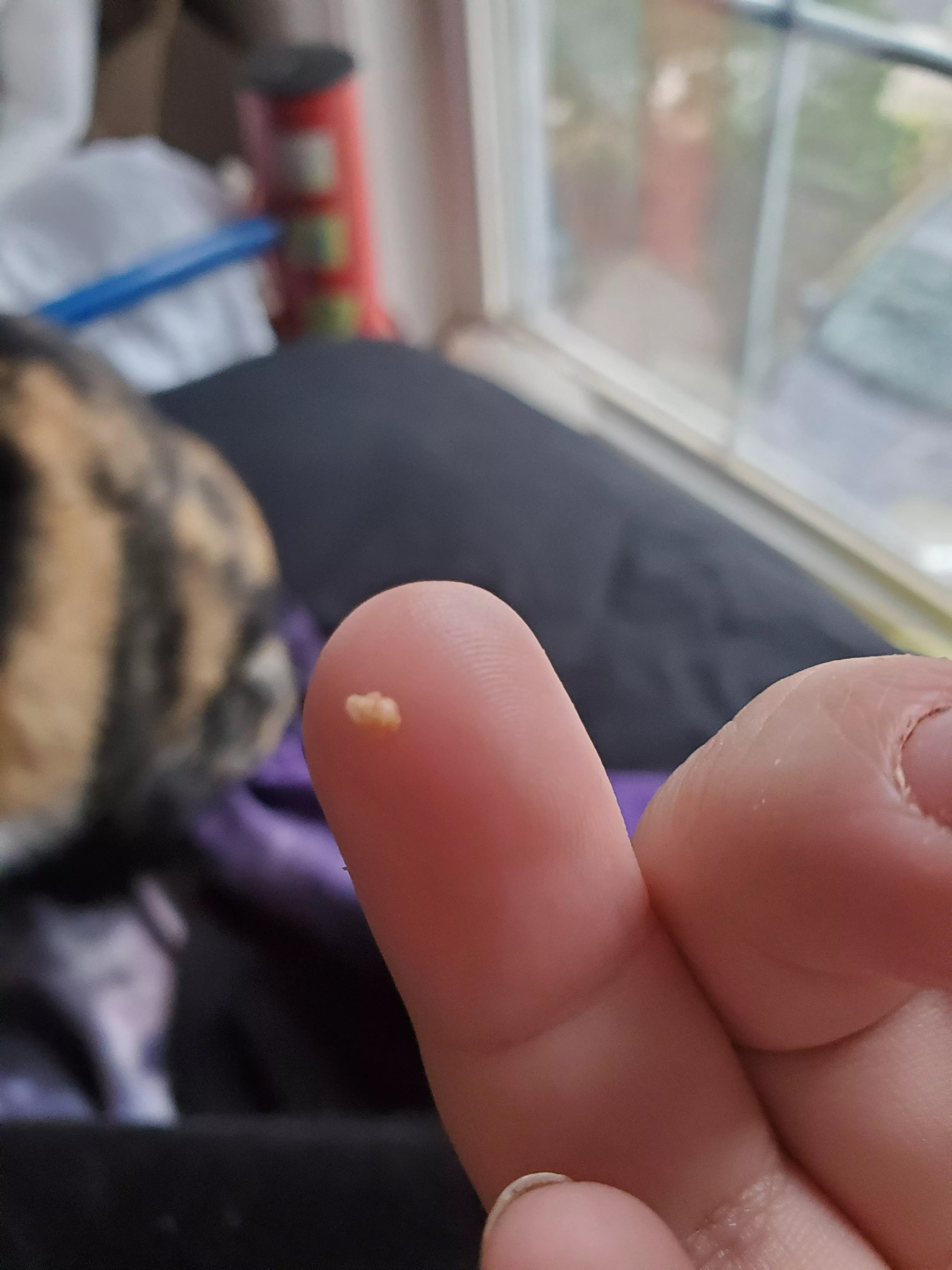 Large stone I dug out today  posted by TheQueen_Of-Vore