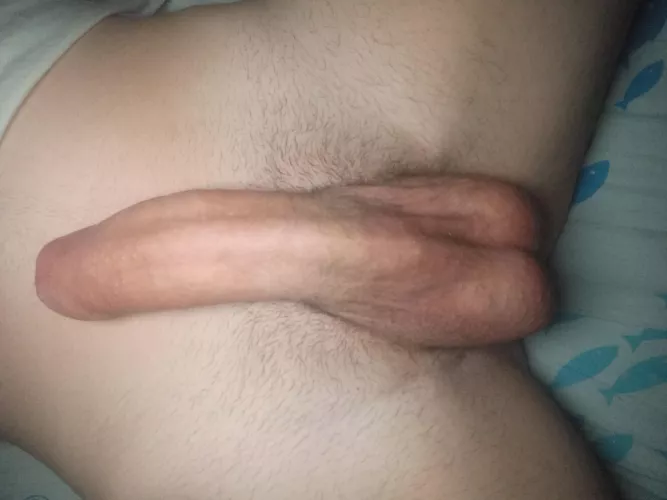 Like it? by Various_Cap_4083