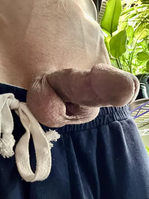 Morning by Bi-Enjoyment