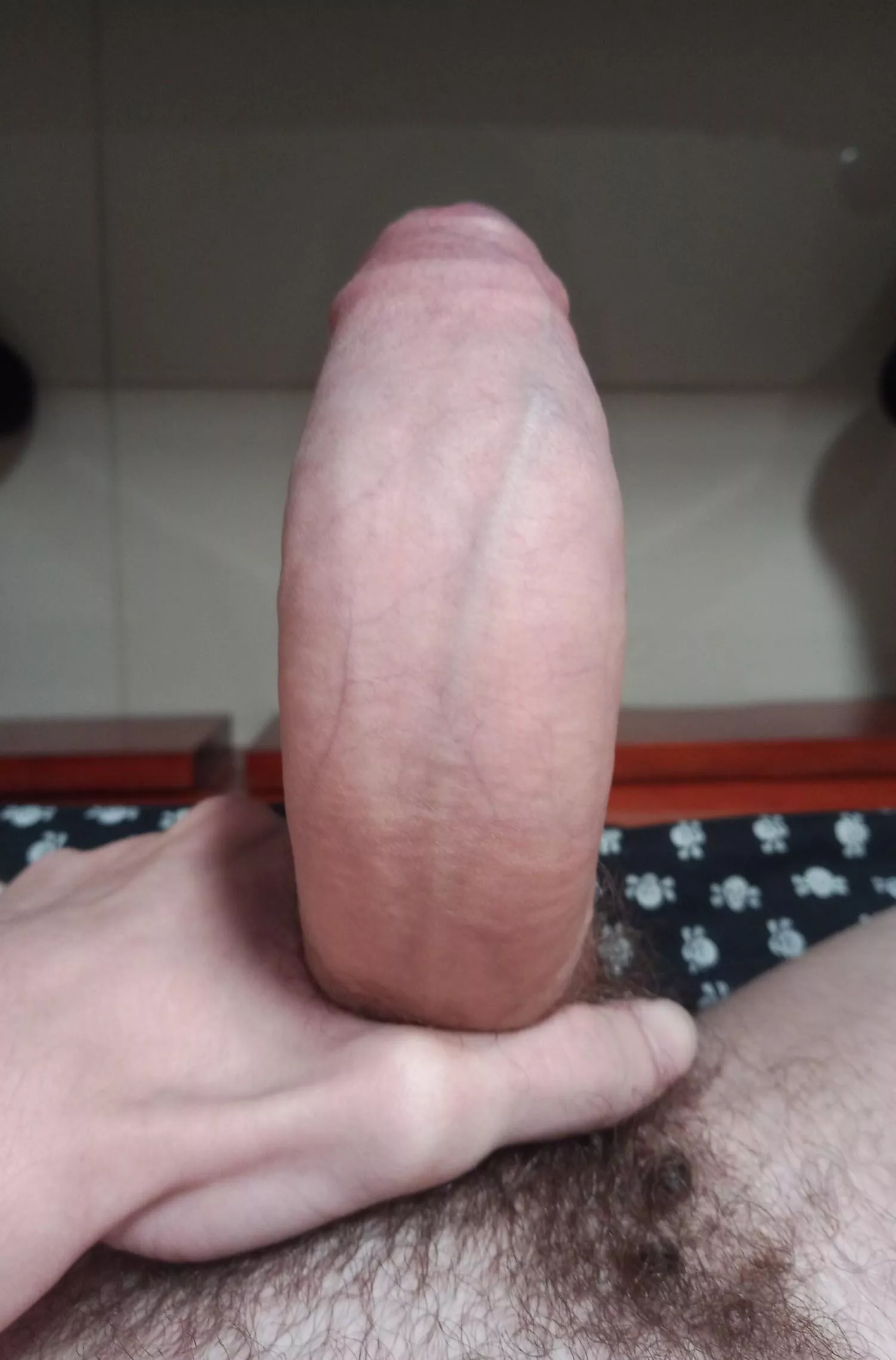 My cock is about to explode posted by Sweet_Mountain3119
