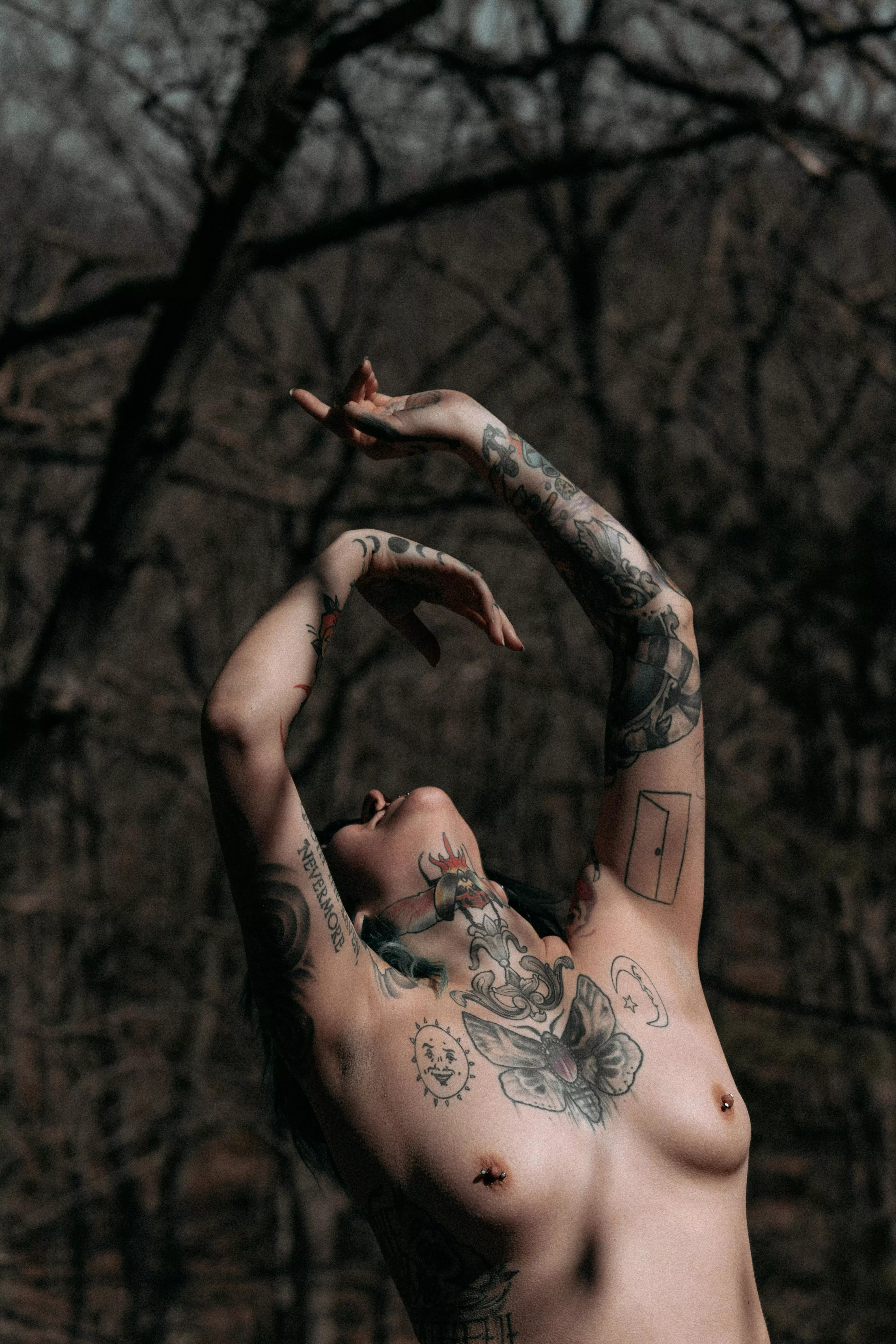 One with the trees posted by Late-Shame