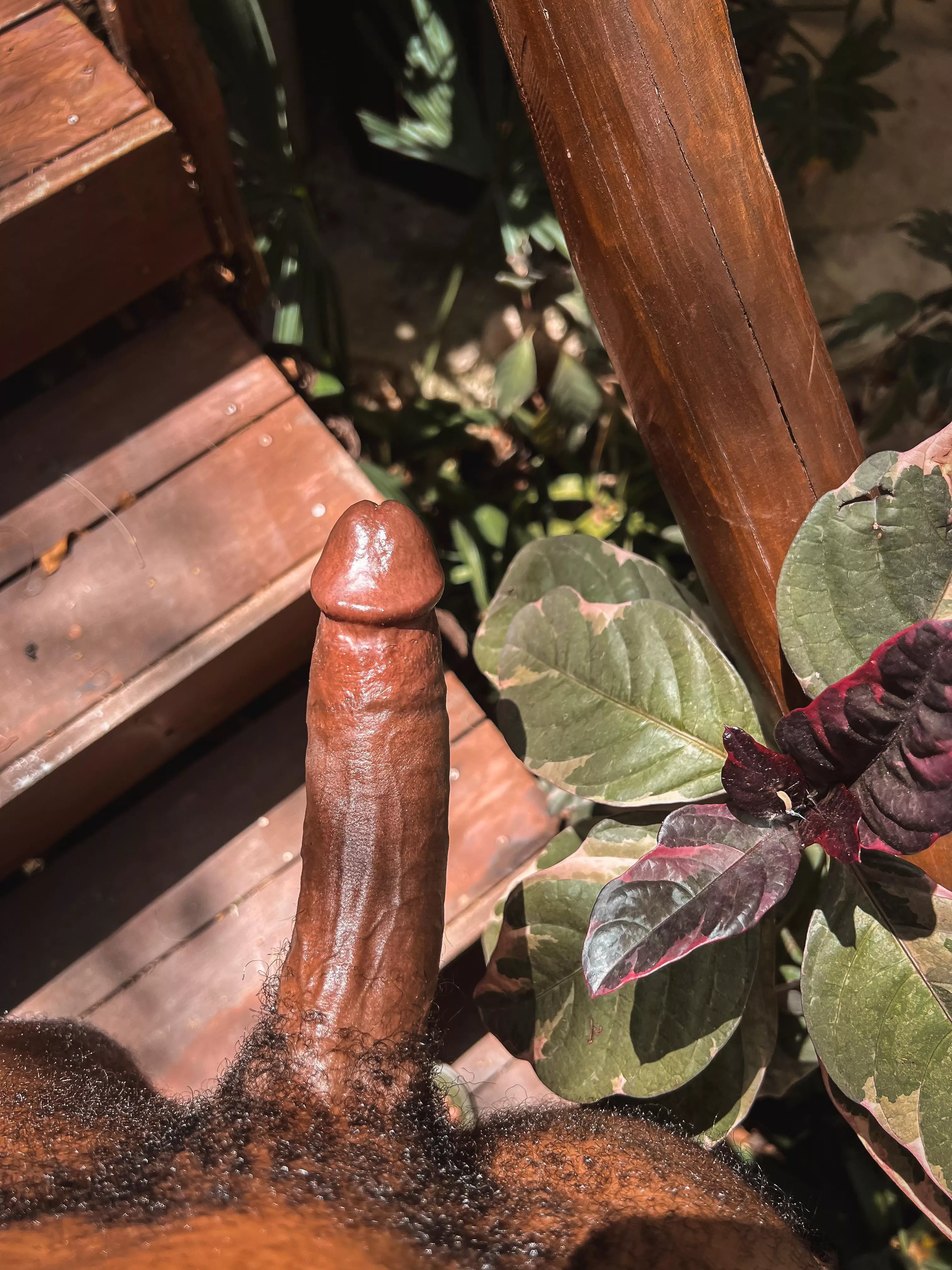 Plants and cock posted by handsumeDick