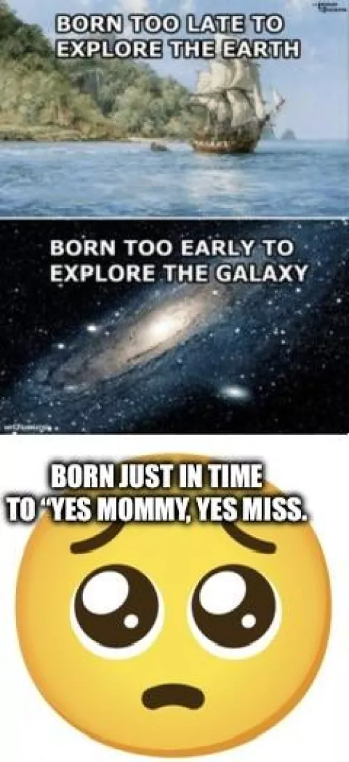 Silly meme by FreshAmphibian6247