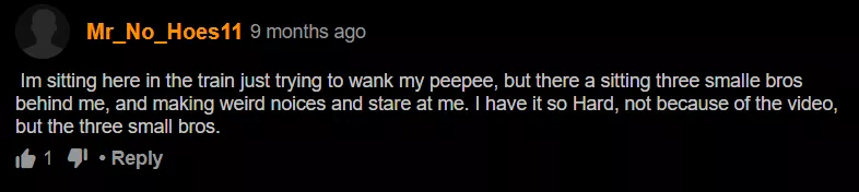 Three Small Train Bros posted by Unus__Annus