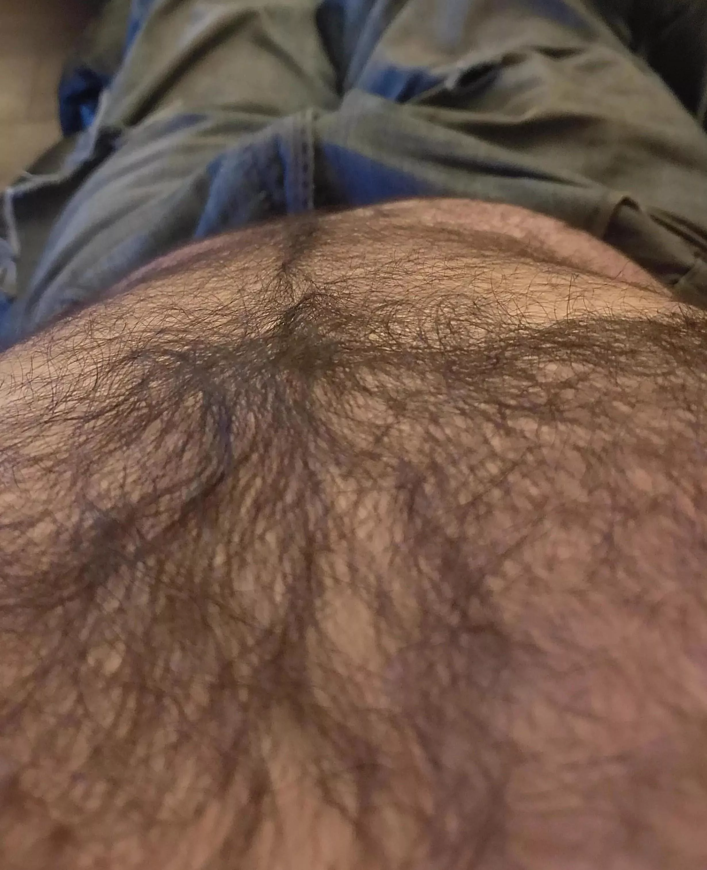 Time to chill and relax?  posted by HairyDiplodocus