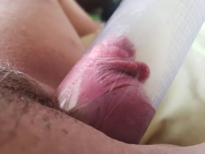 Today's pump made my t-dick into a proper package 📦 (ftm) by hornyrexalt