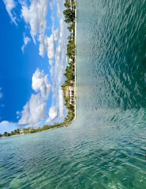 Wave with me by Helpful_Staff643