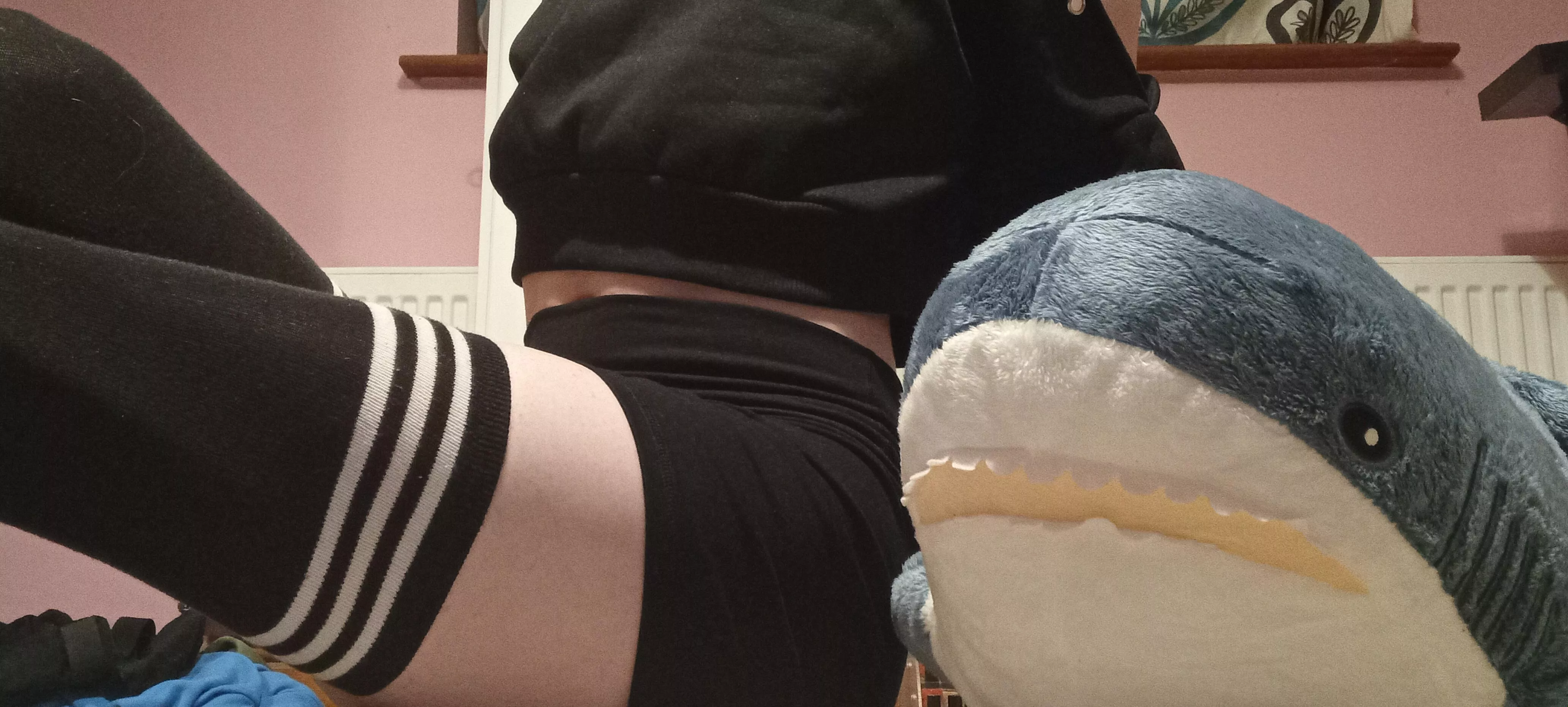 What should I call my shark? (First pic) posted by Federal-Gamer