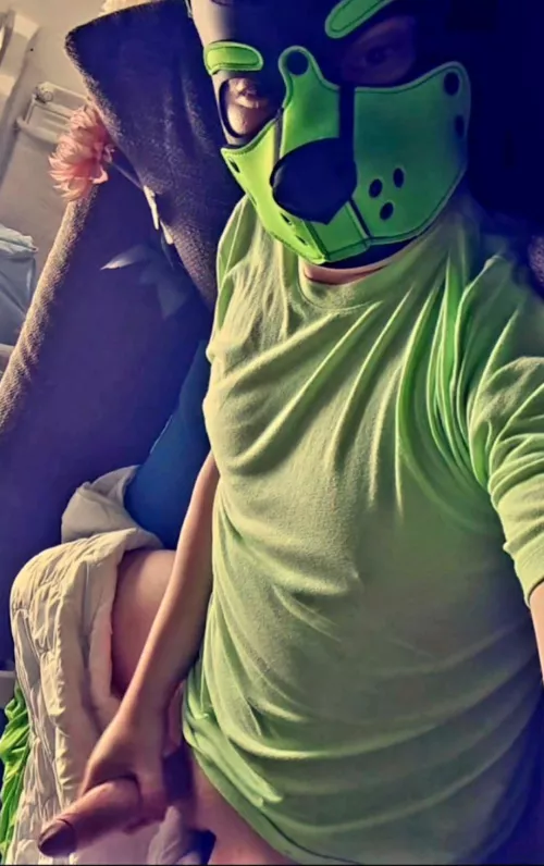 Who wants Newton's bones? by pup_newton