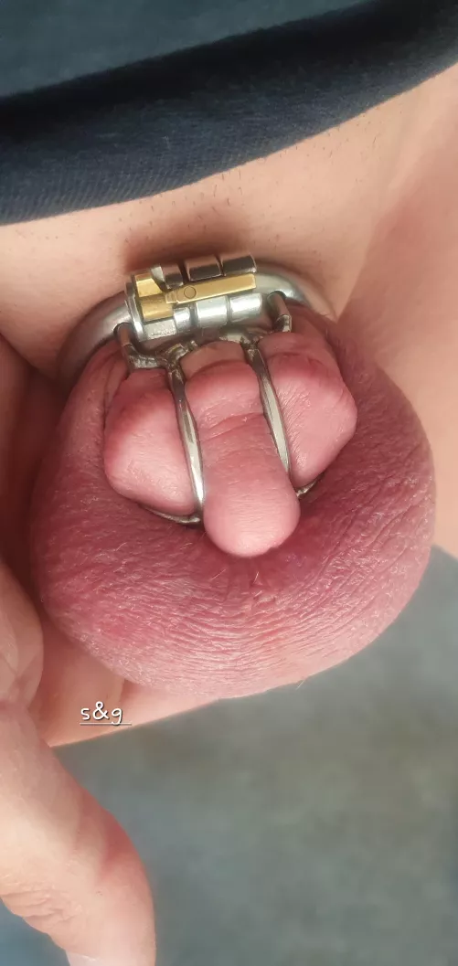 Wife telling me my baby penis isn't any use for pussy, is she right? by shitsandgigssss